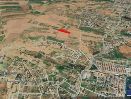 Suitable For Urgent Sale Cooperative And Site In Tekirdag Barbarosta. High Profit Guarantee To The Investor