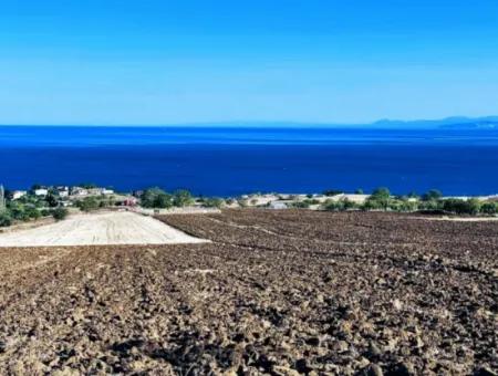 High Profit Guarantee For The Investor For Emergency Sale In Tekirdag Barbrosta 50 Flats Of Cooperative And Site Suitable Land For Construction