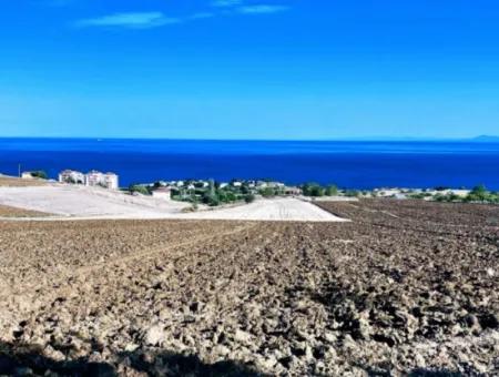 High Profit Guarantee For The Investor For Emergency Sale In Tekirdag Barbrosta 50 Flats Of Cooperative And Site Suitable Land For Construction