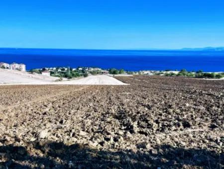 High Profit Guarantee For The Investor For Emergency Sale In Tekirdag Barbrosta 50 Flats Of Cooperative And Site Suitable Land For Construction