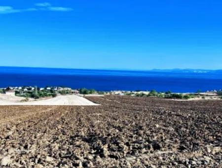 High Profit Guarantee For The Investor For Emergency Sale In Tekirdag Barbrosta 50 Flats Of Cooperative And Site Suitable Land For Construction