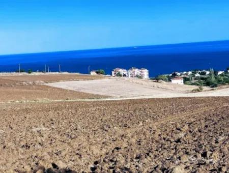 High Profit Guarantee For The Investor For Emergency Sale In Tekirdag Barbrosta 50 Flats Of Cooperative And Site Suitable Land For Construction