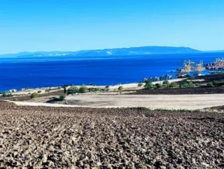 High Profit Guarantee For The Investor For Emergency Sale In Tekirdag Barbrosta 50 Flats Of Cooperative And Site Suitable Land For Construction