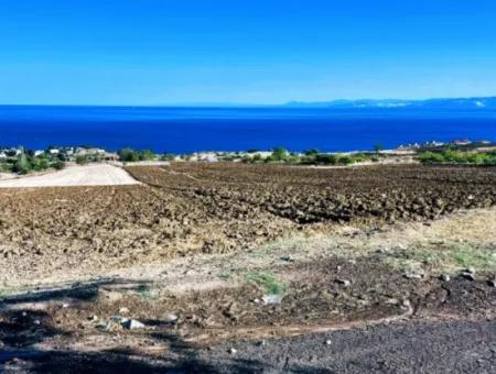 High Profit Guarantee For The Investor For Emergency Sale In Tekirdag Barbrosta 50 Flats Of Cooperative And Site Suitable Land For Construction