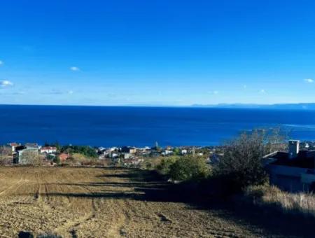 Residential Zoned Land With Full Sea View Suitable For The Construction Of A 42-Apartment Cooperative Site For Urgent Sale In Tekirdag Barbarosta