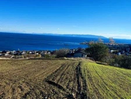 Residential Zoned Land With Full Sea View Suitable For The Construction Of A 42-Apartment Cooperative Site For Urgent Sale In Tekirdag Barbarosta