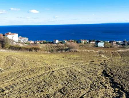 Residential Zoned Land With Full Sea View Suitable For The Construction Of A 42-Apartment Cooperative Site For Urgent Sale In Tekirdag Barbarosta