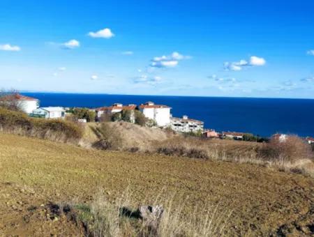 Residential Zoned Land With Full Sea View Suitable For The Construction Of A 42-Apartment Cooperative Site For Urgent Sale In Tekirdag Barbarosta