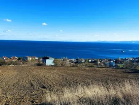 Residential Zoned Land With Full Sea View Suitable For The Construction Of A 42-Apartment Cooperative Site For Urgent Sale In Tekirdag Barbarosta