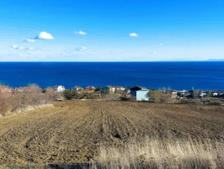 Residential Zoned Land With Full Sea View Suitable For The Construction Of A 42-Apartment Cooperative Site For Urgent Sale In Tekirdag Barbarosta