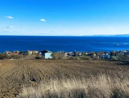 Residential Zoned Land With Full Sea View Suitable For The Construction Of A 42-Apartment Cooperative Site For Urgent Sale In Tekirdag Barbarosta