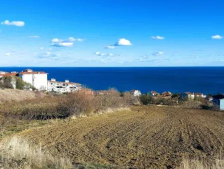 Residential Zoned Land With Full Sea View Suitable For The Construction Of A 42-Apartment Cooperative Site For Urgent Sale In Tekirdag Barbarosta