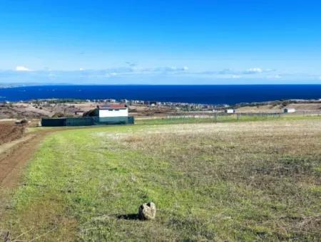 15.000 M2 Villa Zoned Land For Urgent Sale In Tekirdag Barbarosta