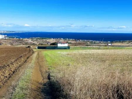 15.000 M2 Villa Zoned Land For Urgent Sale In Tekirdag Barbarosta