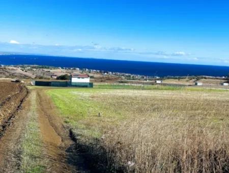 15.000 M2 Villa Zoned Land For Urgent Sale In Tekirdag Barbarosta