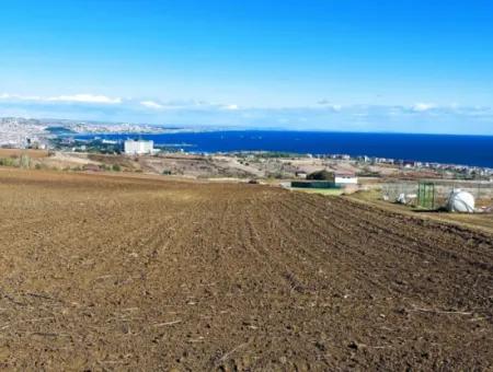 15.000 M2 Villa Zoned Land For Urgent Sale In Tekirdag Barbarosta