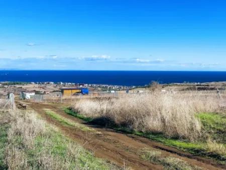 15.000 M2 Villa Zoned Land For Urgent Sale In Tekirdag Barbarosta