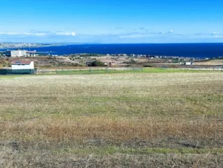 15.000 M2 Villa Zoned Land For Urgent Sale In Tekirdag Barbarosta