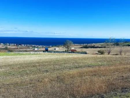 15.000 M2 Villa Zoned Land For Urgent Sale In Tekirdag Barbarosta