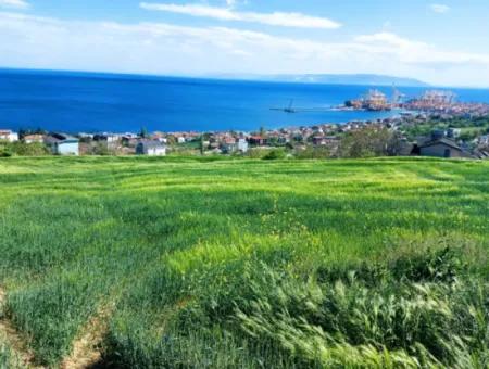 Tekirdag Barbarosta 42 Flats For Urgent Sale Cooperative And Suitable Place For Site Construction