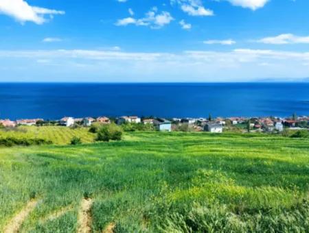 Tekirdag Barbarosta 42 Flats For Urgent Sale Cooperative And Suitable Place For Site Construction