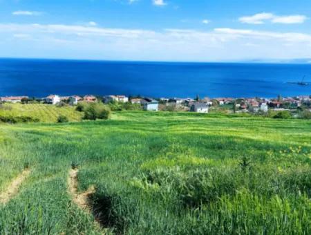 Tekirdag Barbarosta 42 Flats For Urgent Sale Cooperative And Suitable Place For Site Construction