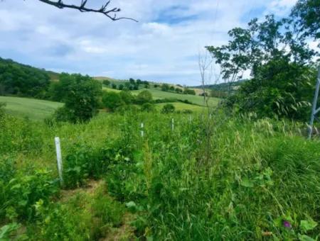 Coupon Place Suitable For Putting 580 M2 Tiny House For Urgent Sale In The Heart Of Nature In Tekirdag Avşarda