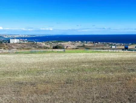 Urgent Sale In Barbarosta, Tekirdag, 15.000 M2 Villa Zoned Field!