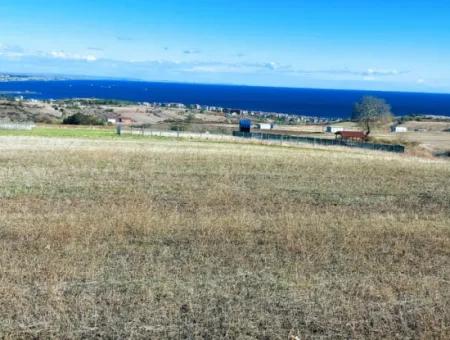 Urgent Sale In Barbarosta, Tekirdag, 15.000 M2 Villa Zoned Field!