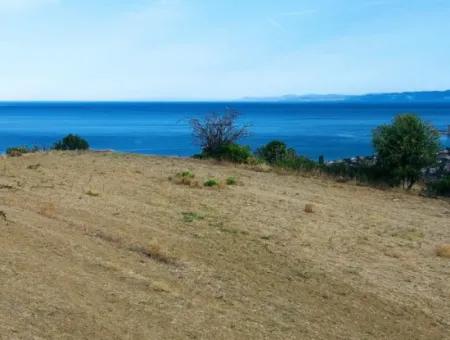 Coupon Land For Urgent Sale Suitable For Building Your Detached House With Wonderful Sea View In Tekirdag Barbarosta