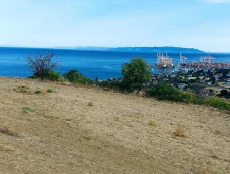 Coupon Land For Urgent Sale Suitable For Building Your Detached House With Wonderful Sea View In Tekirdag Barbarosta