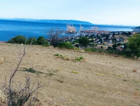 Coupon Land For Urgent Sale Suitable For Building Your Detached House With Wonderful Sea View In Tekirdag Barbarosta