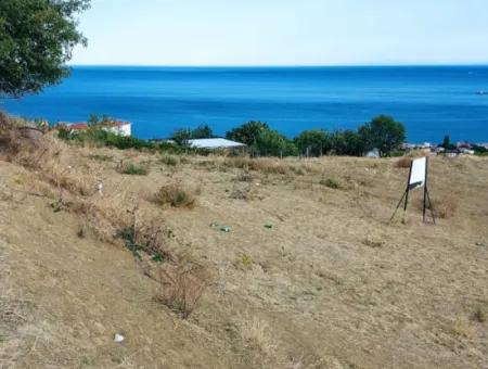 Coupon Land For Urgent Sale Suitable For Building Your Detached House With Wonderful Sea View In Tekirdag Barbarosta