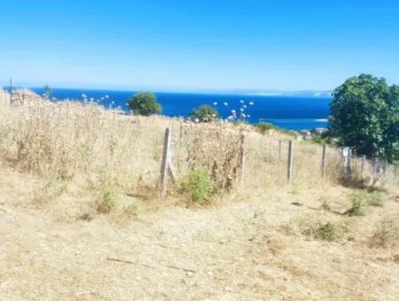 765 M2 Bargain Land With Full Sea View For Urgent Sale In Tekirdag Barbarosta