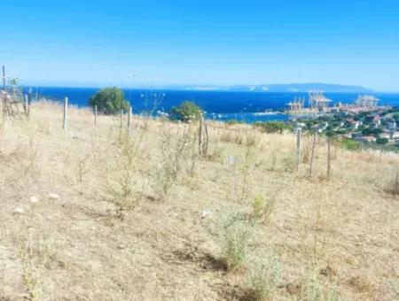 765 M2 Bargain Land With Full Sea View For Urgent Sale In Tekirdag Barbarosta