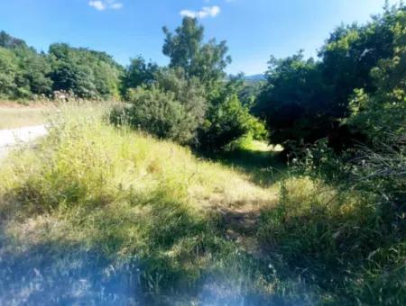 Coupon Field With Main Road Frontage Suitable For Nature Enthusiasts To Put Tiny House For Urgent Sale In Tekirdag Çanakçi Neighborhood