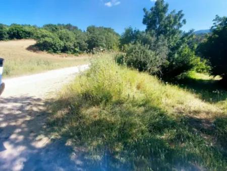 Coupon Field With Main Road Frontage Suitable For Nature Enthusiasts To Put Tiny House For Urgent Sale In Tekirdag Çanakçi Neighborhood