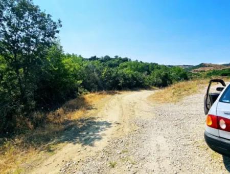 Coupon Field With Main Road Frontage Suitable For Nature Enthusiasts To Put Tiny House For Urgent Sale In Tekirdag Çanakçi Neighborhood