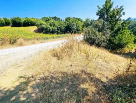 Coupon Field With Main Road Frontage Suitable For Nature Enthusiasts To Put Tiny House For Urgent Sale In Tekirdag Çanakçi Neighborhood