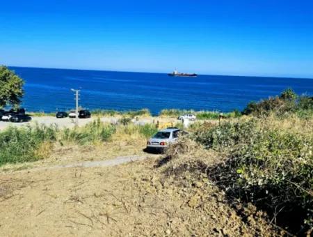 Coupon Land Suitable For Building Your Seafront Detached Villa In Tekirdag Barbarosta