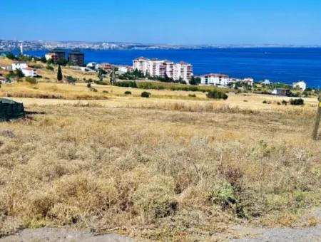 Coupon Land For Urgent Sale Suitable For Building A Detached House In Tekirdag Barbarosta