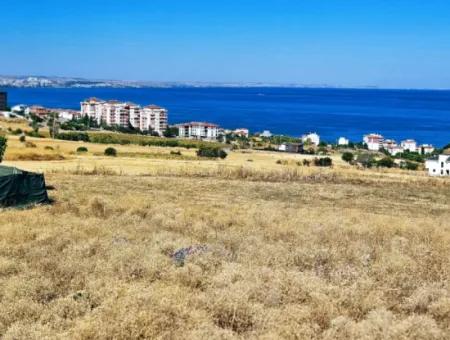 Coupon Land For Urgent Sale Suitable For Building A Detached House In Tekirdag Barbarosta