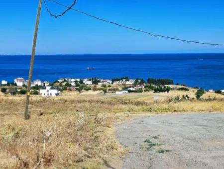 Coupon Land For Urgent Sale Suitable For Building A Detached House In Tekirdag Barbarosta