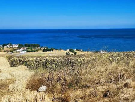 Coupon Land For Urgent Sale Suitable For Building A Detached House In Tekirdag Barbarosta