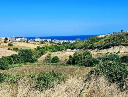 9.100 M2 Villa Zoned Field For Urgent Sale In Tekirdag Barbarosta