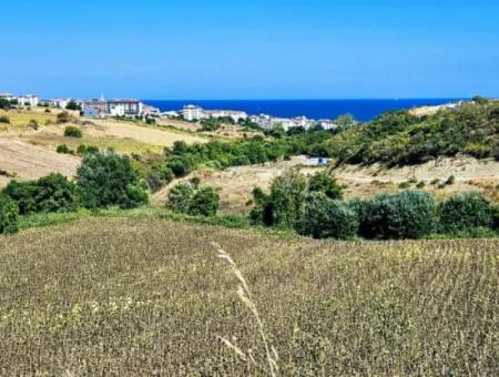 9.100 M2 Villa Zoned Field For Urgent Sale In Tekirdag Barbarosta