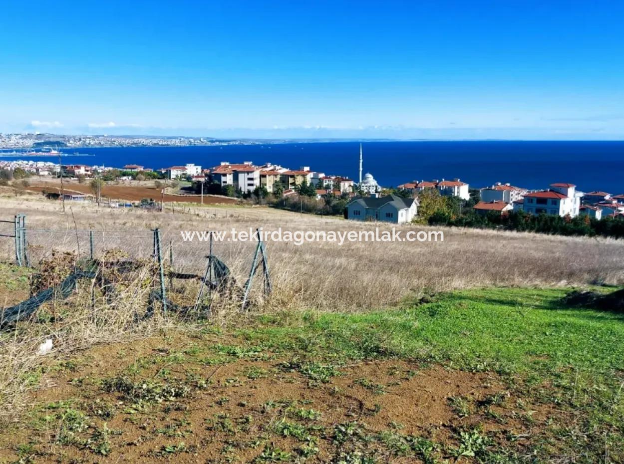 Acil Satılık Tekirdağ Barbarosta 45 Dairelik Full Deniz Manzaralı Konut İmarlı Arazi