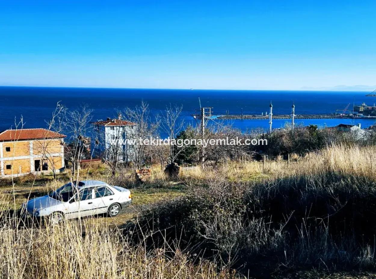 Tekirdağ Barbarosta Acil Satılık Full Deniz Manzaralı 6 Dairelik Fırsat Arsa