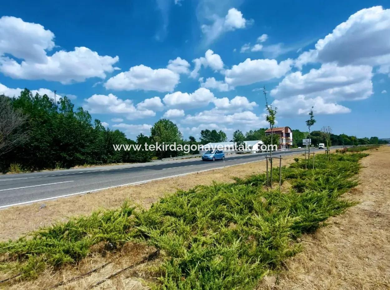 Tekirdağ Mahramlı Mahallesinde Çanakkale Yoluna Cepheli 3.143 M2 Yatırımlık Arsa! İşyeri Veya Çok Amaçlı Kullanıma Uygun, Alt Yapısı Hazır Fırsat Yatırım