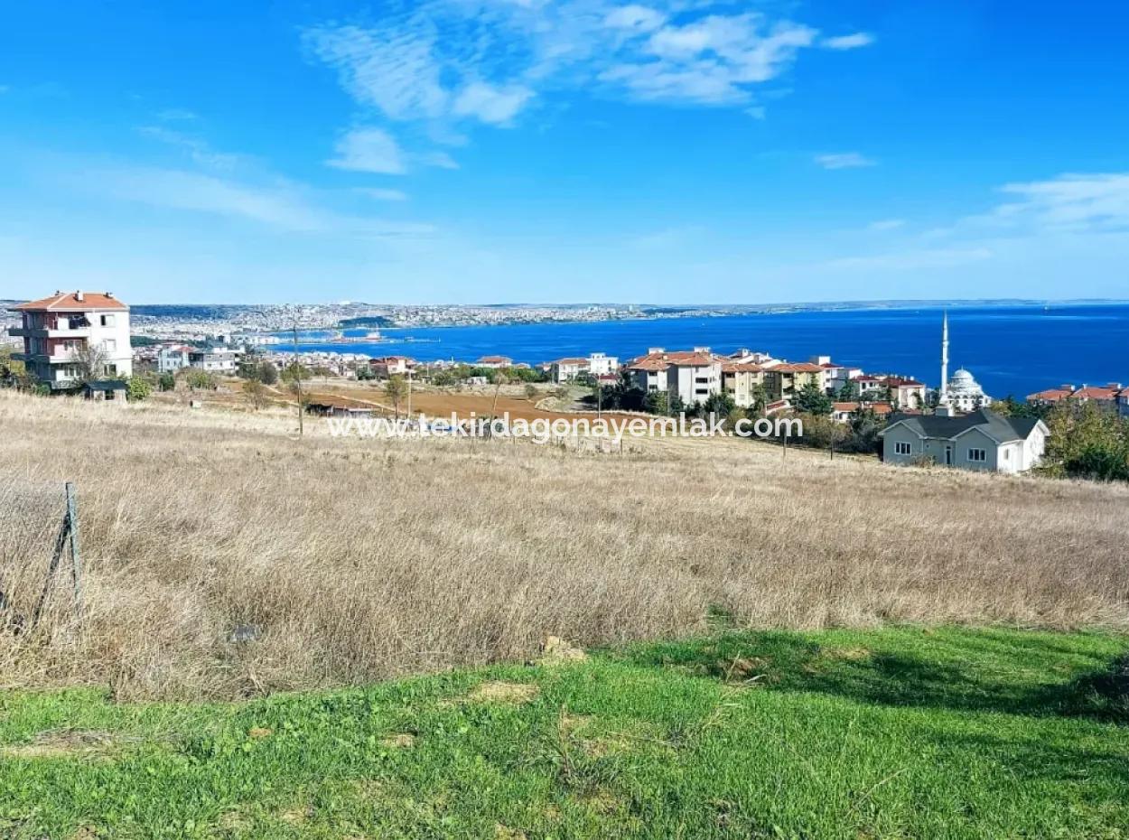 Tekirdağ Topağaç Mahallesinde 6.400 M2 Konut İmarlı Yatırım Fırsatı